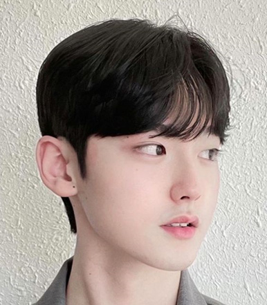 Center Parting Bowl Cut