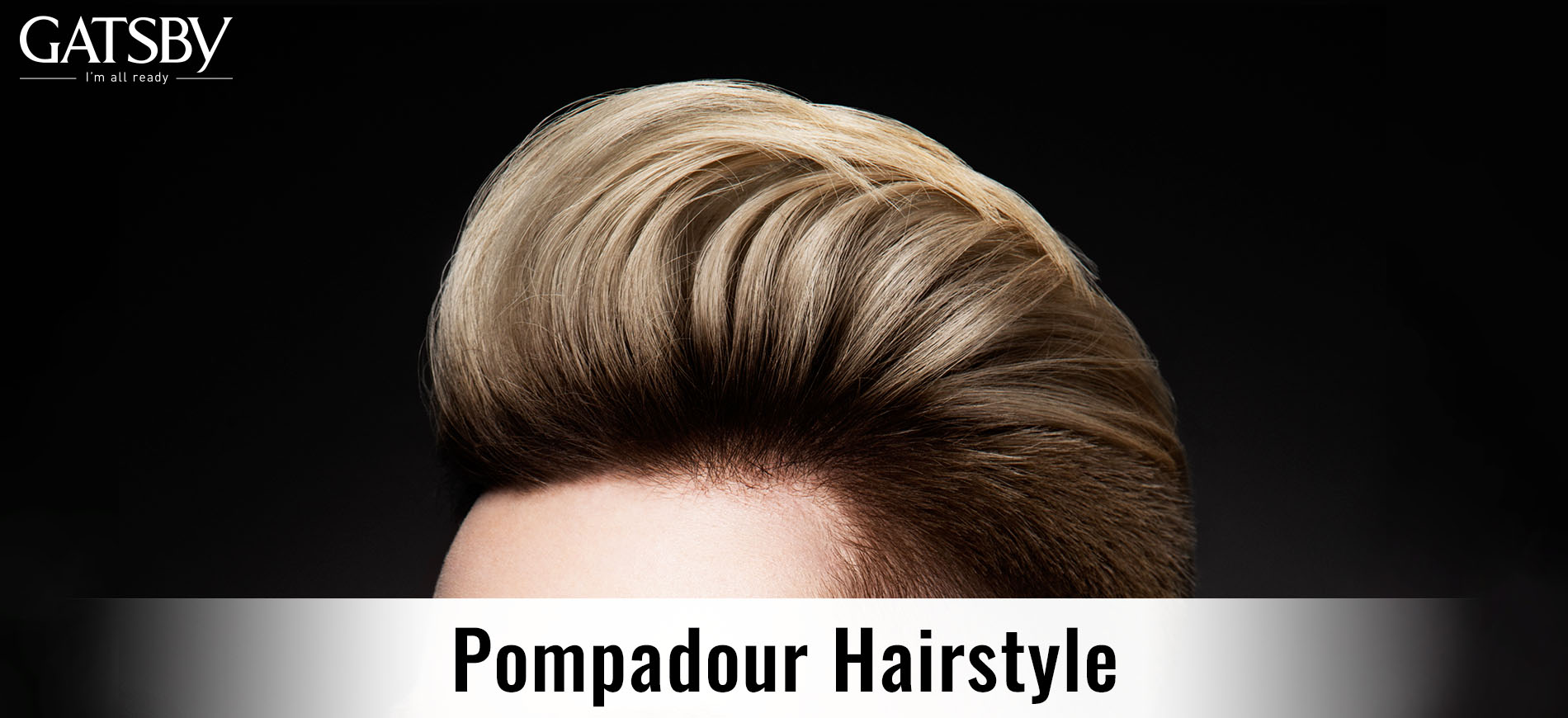 Longtail Pompadour